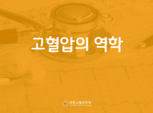 [대한고혈압학회] 2019년 고혈압 표준교육슬라이드(전문가용, 일반인용)